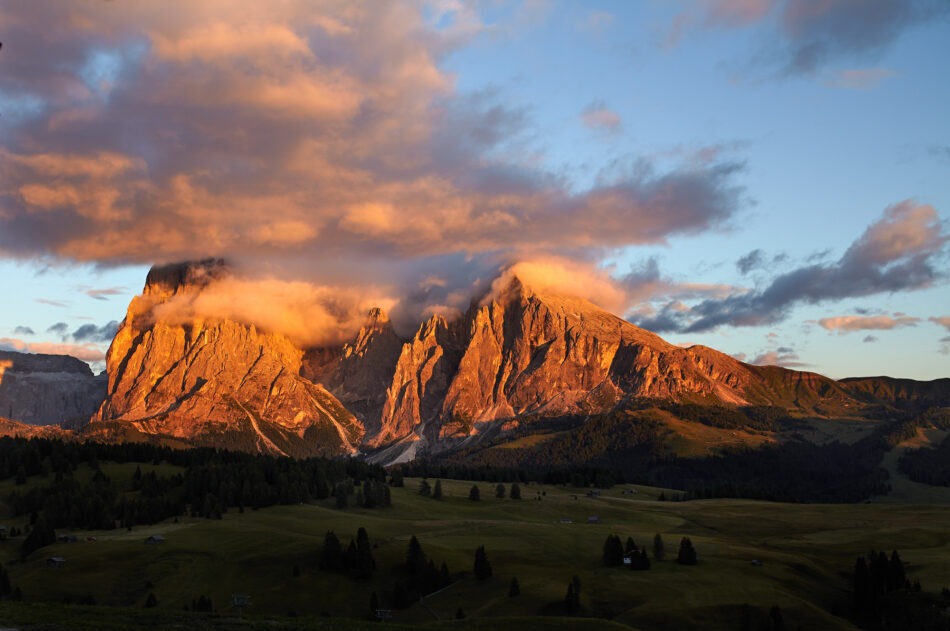 Foto Bild