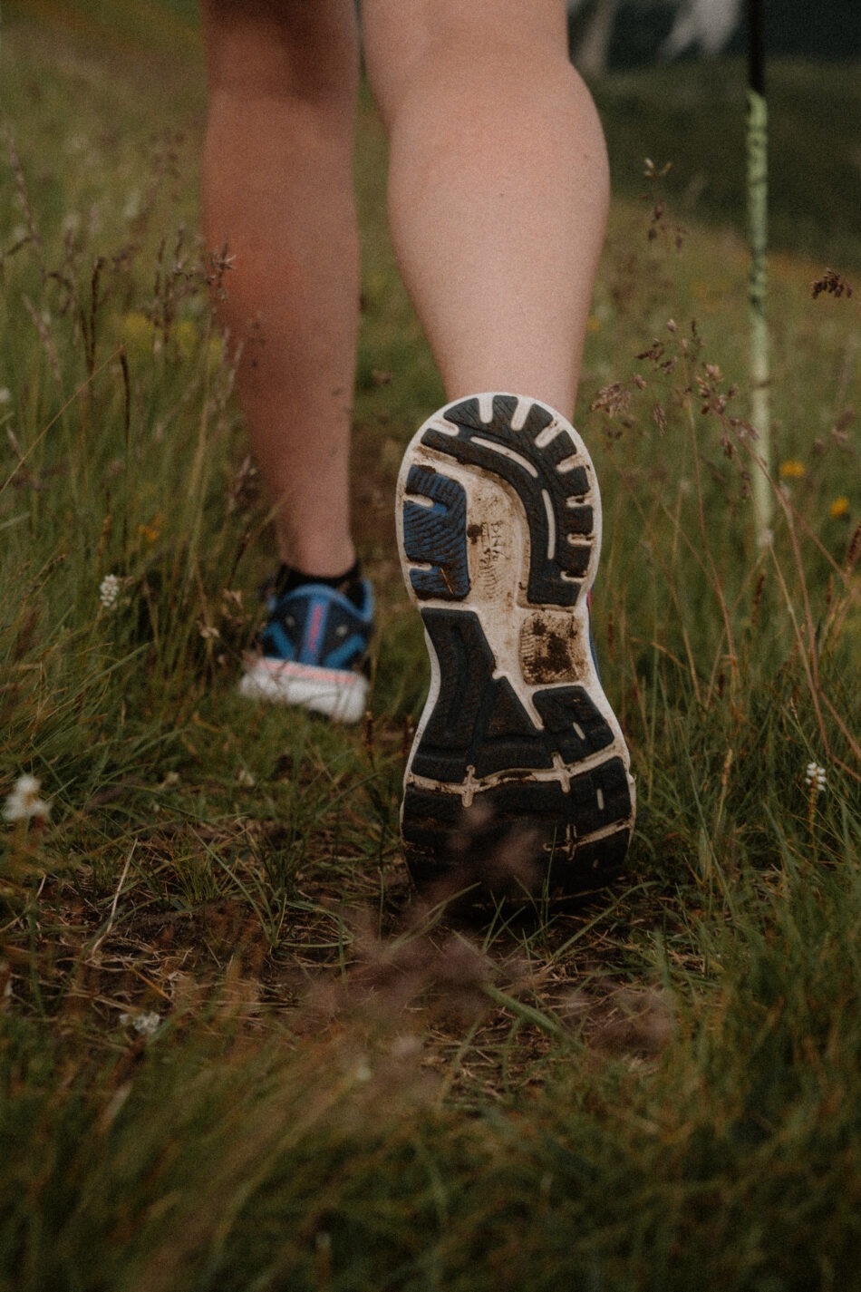 Foto-Bereich